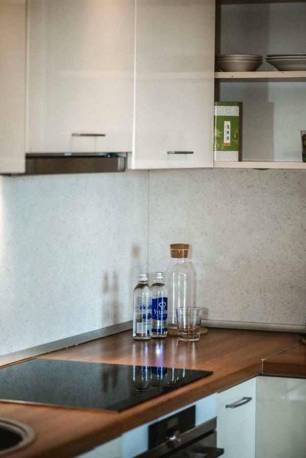 New Apartament Very Close To The City Centre VNO Eksteriør bilde